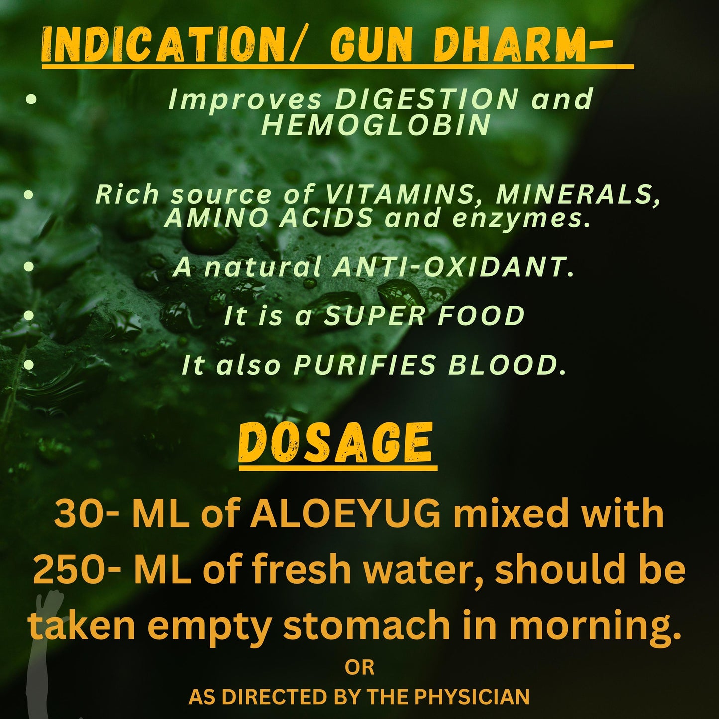 Boost Immunity & Support Digestion with Aloevera Fiber Juice – Natural Detox & Hydration for Overall Wellness"