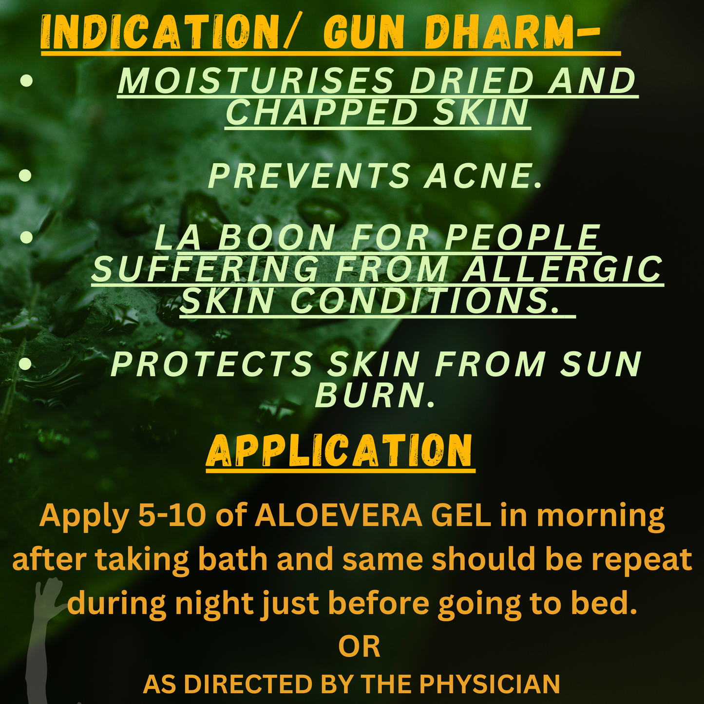 Boost Immunity & Support Digestion with Aloevera Fiber Juice – Natural Detox & Hydration for Overall Wellness