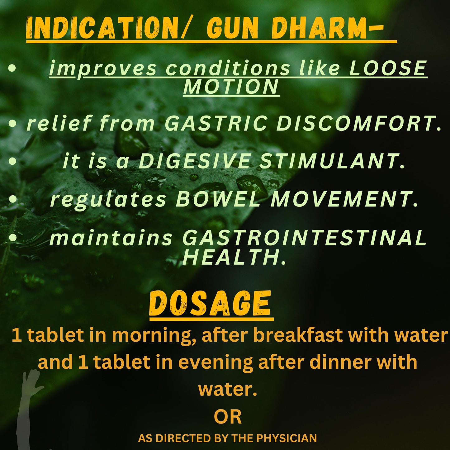 AMLAPITANTAK LAUH (Digestion) (By- BAIDYANATH, 40- Tablets)-Cosmoहित Ayurved