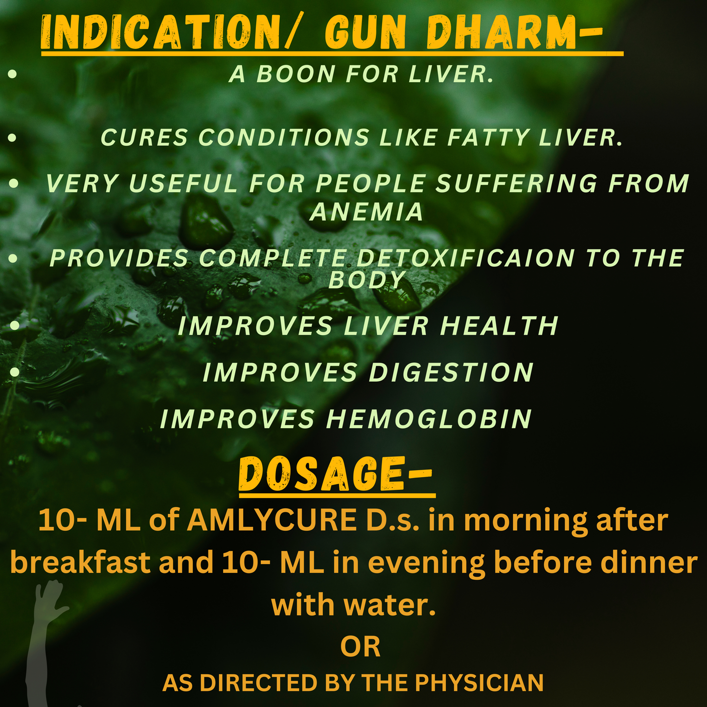 Support Liver Health & Detox Naturally with Amlycure D.S. Syrup – Ayurvedic Formula for Fatty Liver & Digestion | Available at Cosmohit Ayurved