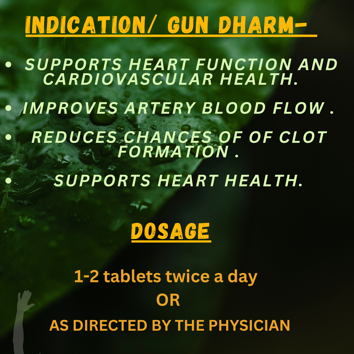 Support Heart Health & Improve Blood Circulation Naturally with Arjun Tablets – Herbal Cardiovascular Care | Available at Cosmohit Ayurved