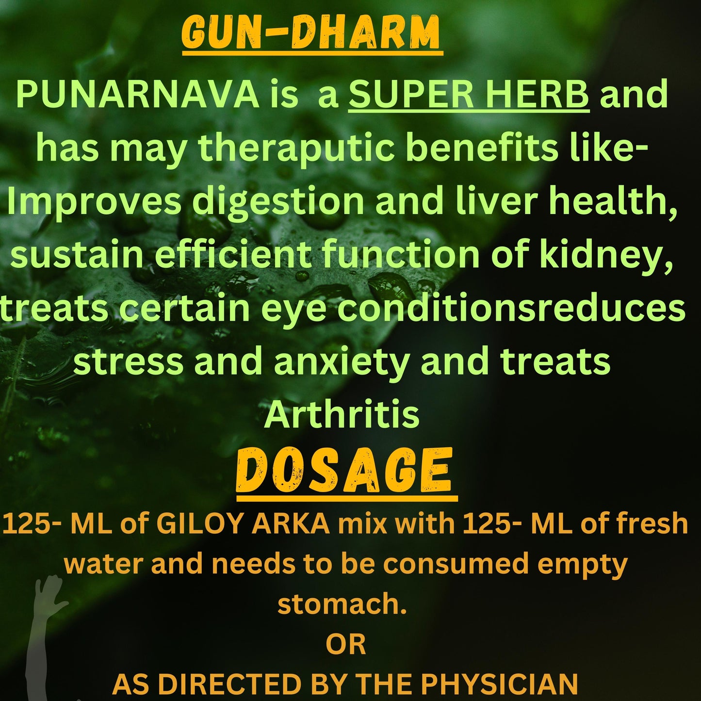 Support Liver Health & Manage Anemia Naturally with Ark Punarnava – Herbal Detox & Blood Purifier | Available at Cosmohit Ayurved