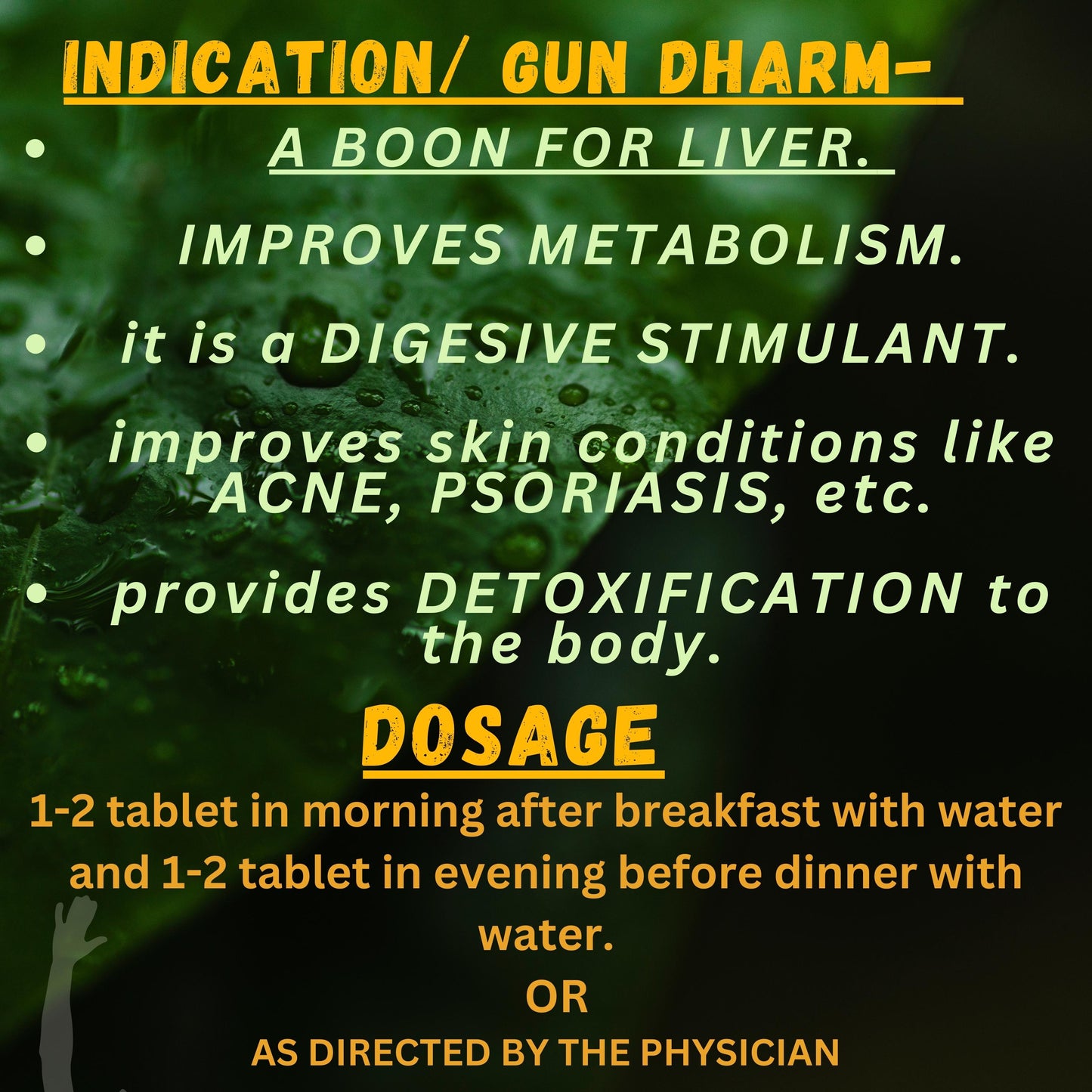 Enhance Metabolism & Detox Naturally with Arogyavardhini Bati – Ayurvedic Support for Liver & Digestion | Available at Cosmohit Ayurved