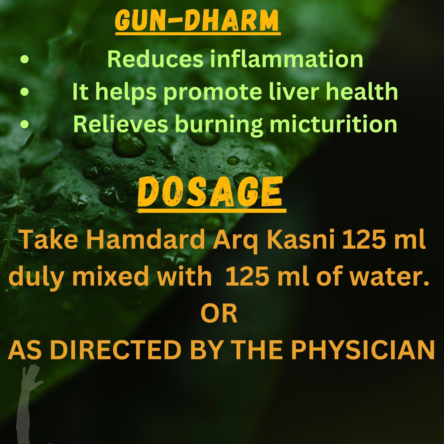 "Support Liver Health & Manage Fatty Liver Naturally with Arq Kasini – Herbal Detox & Digestion Booster | Available at Cosmohit Ayurved"