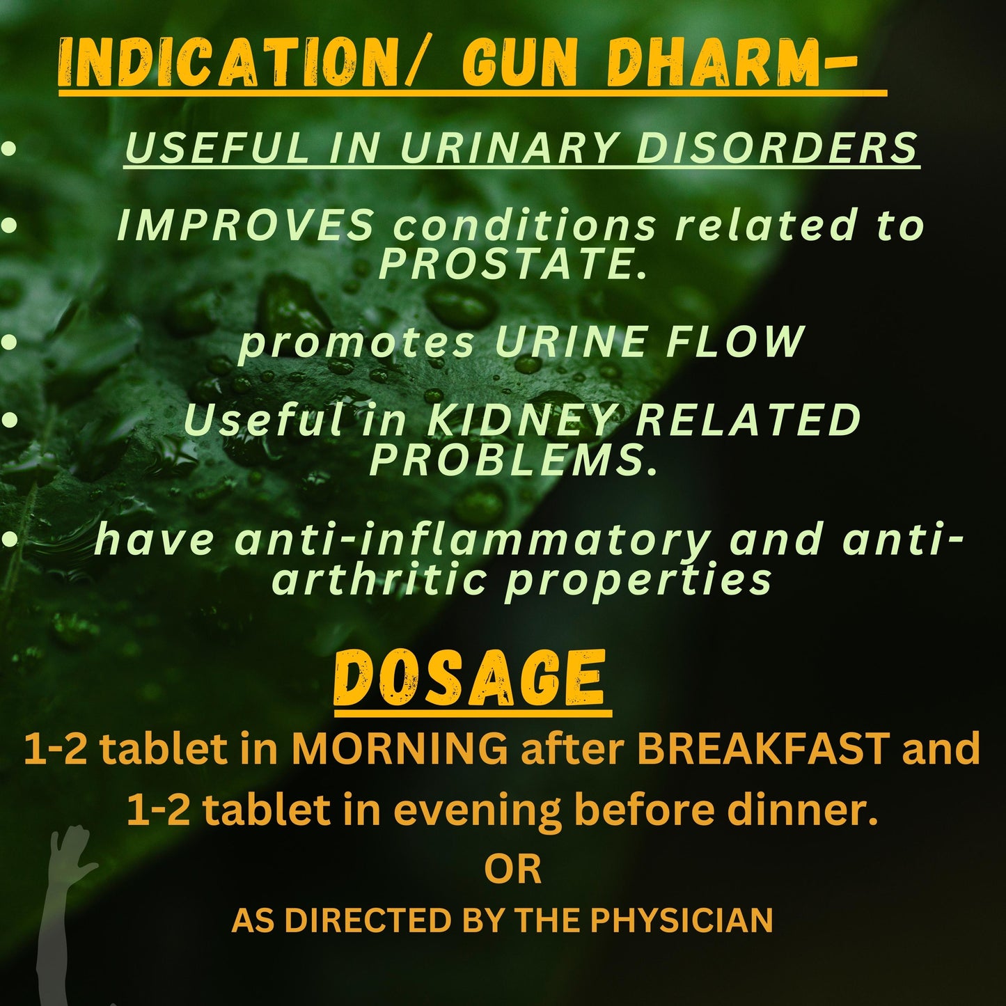 Baidyanath Gokshuradi Guggulu – Promotes urinary wellness, kidney detox, and supports healthy fluid balance with Ayurvedic diuretic benefits