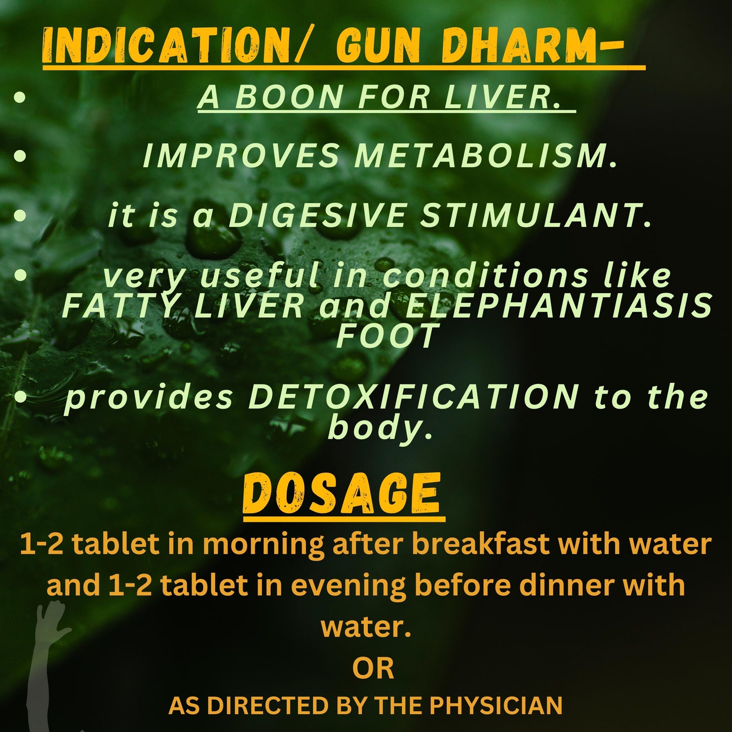 NITYANAND RAS (By- BAIDYANATH, 40-Tablets)-Cosmoहित Ayurved