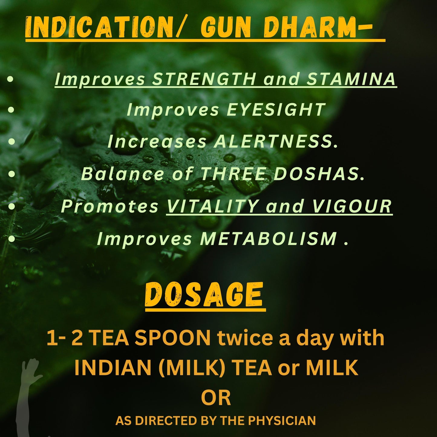 SAFED MUSALI CHURAN (By- VYAS PHARMACEUTICALS, 100- Grams)-Cosmoहित Ayurved