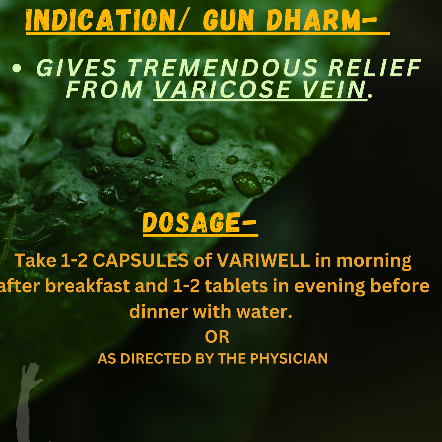 VARIWELL (For- VARICOSE VEINS) (By- BIO RESURGE, 60- Capsules)-Cosmoहित Ayurved