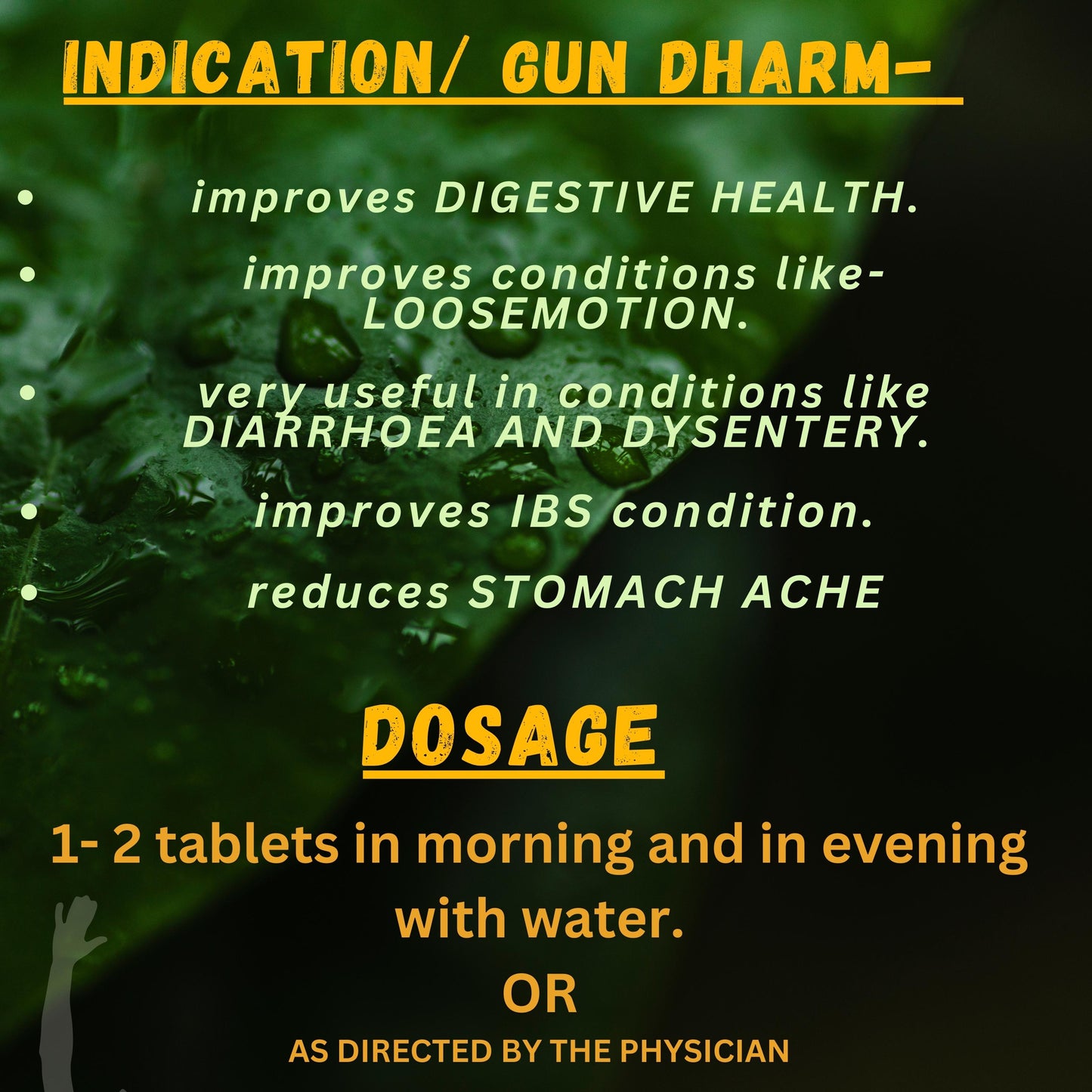 SHANKH BATI (By- BAIDYANATH, 40- Tablets)-Cosmoहित Ayurved