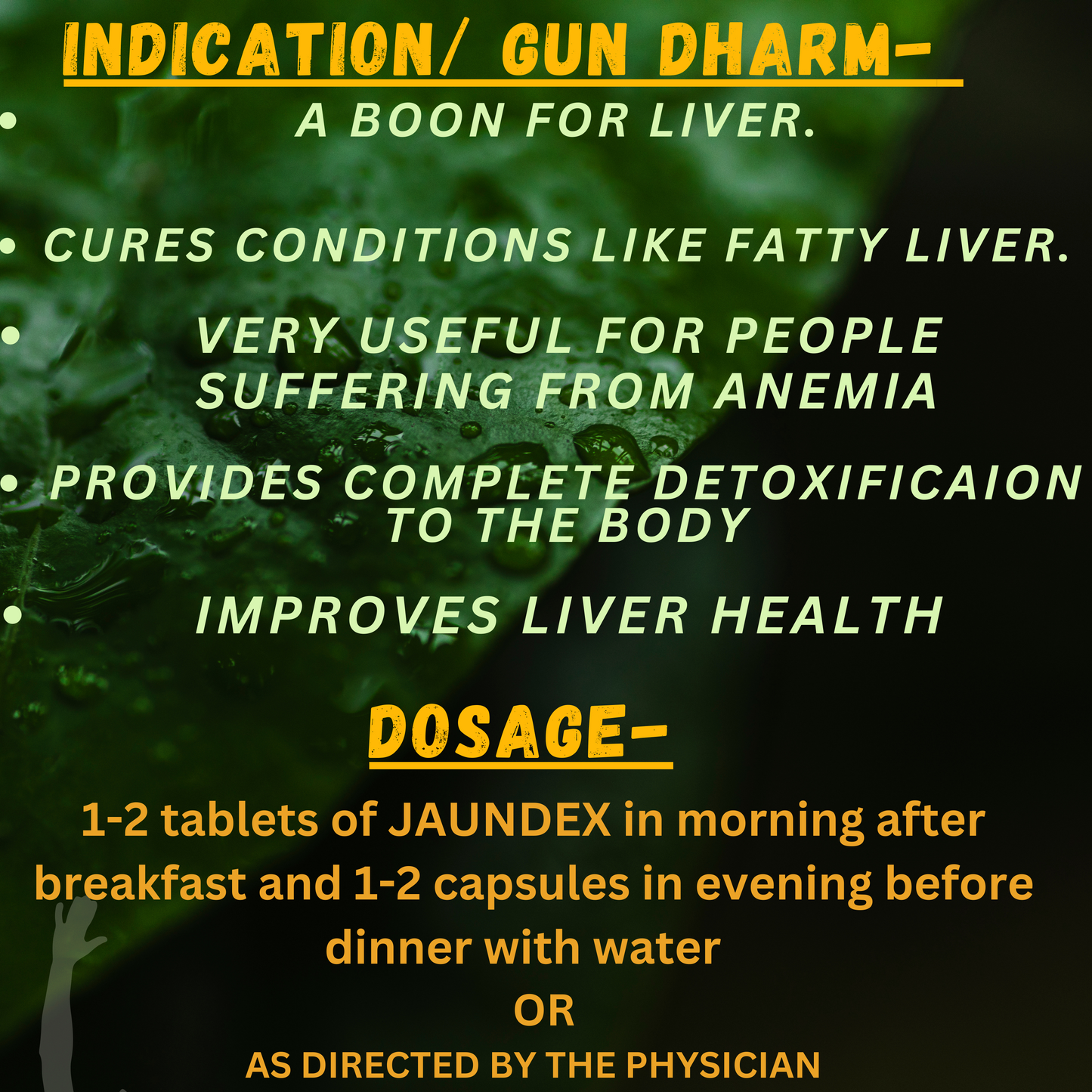 JAUNDEX TABLETS (For improving conditions associated with FATTY LIVER) (By- SANDU BROTHERS, 60- TABLETS)-Cosmoहित Ayurved