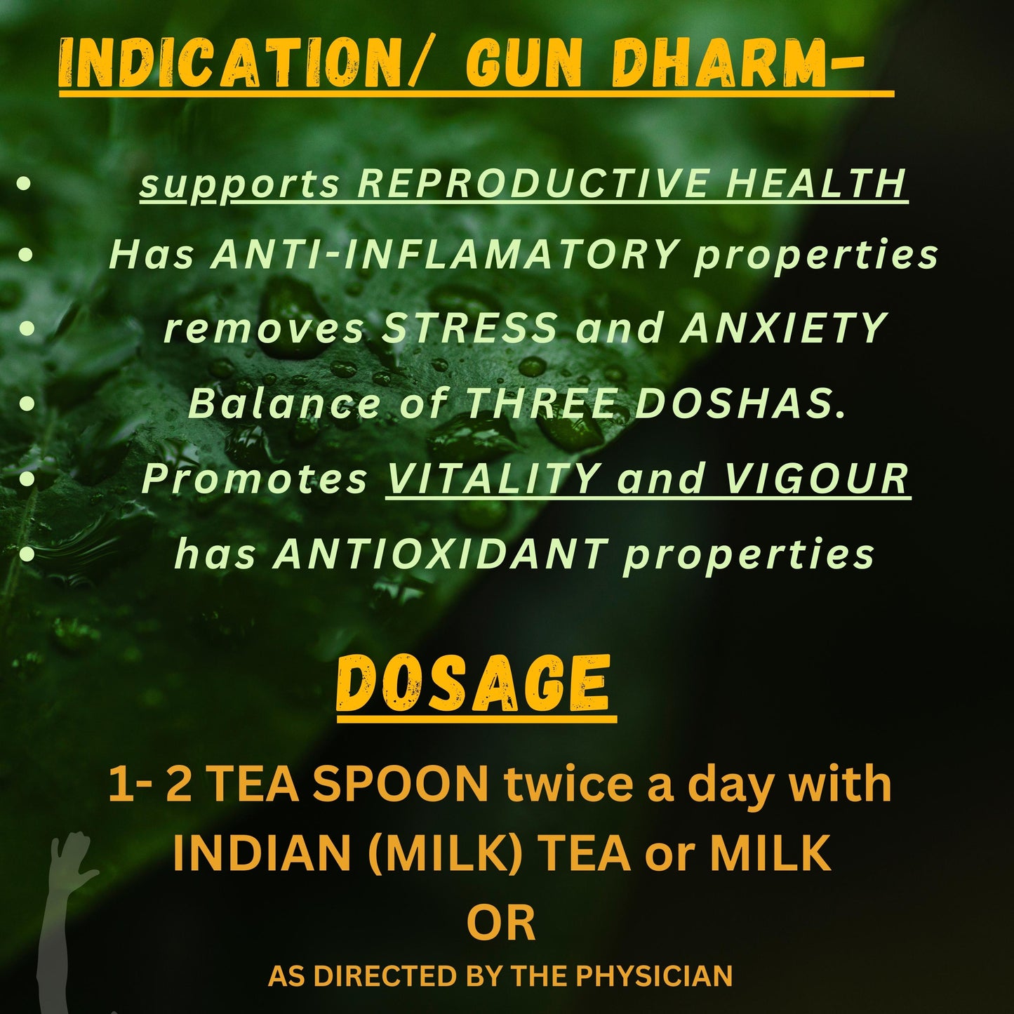 SHATARI/ SHATAVARI (A powder By- SANDU, 200 Grams)-Cosmoहित Ayurved