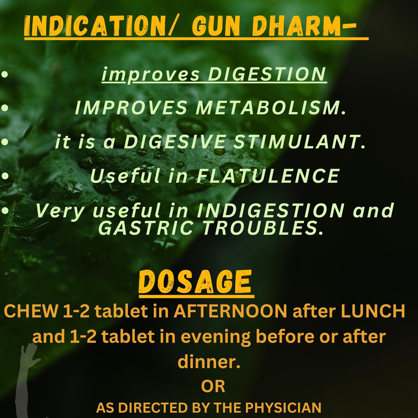 GAISANTAK BATI (By- BAIDAYANATH, 100- Tablets)-Cosmoहित Ayurved