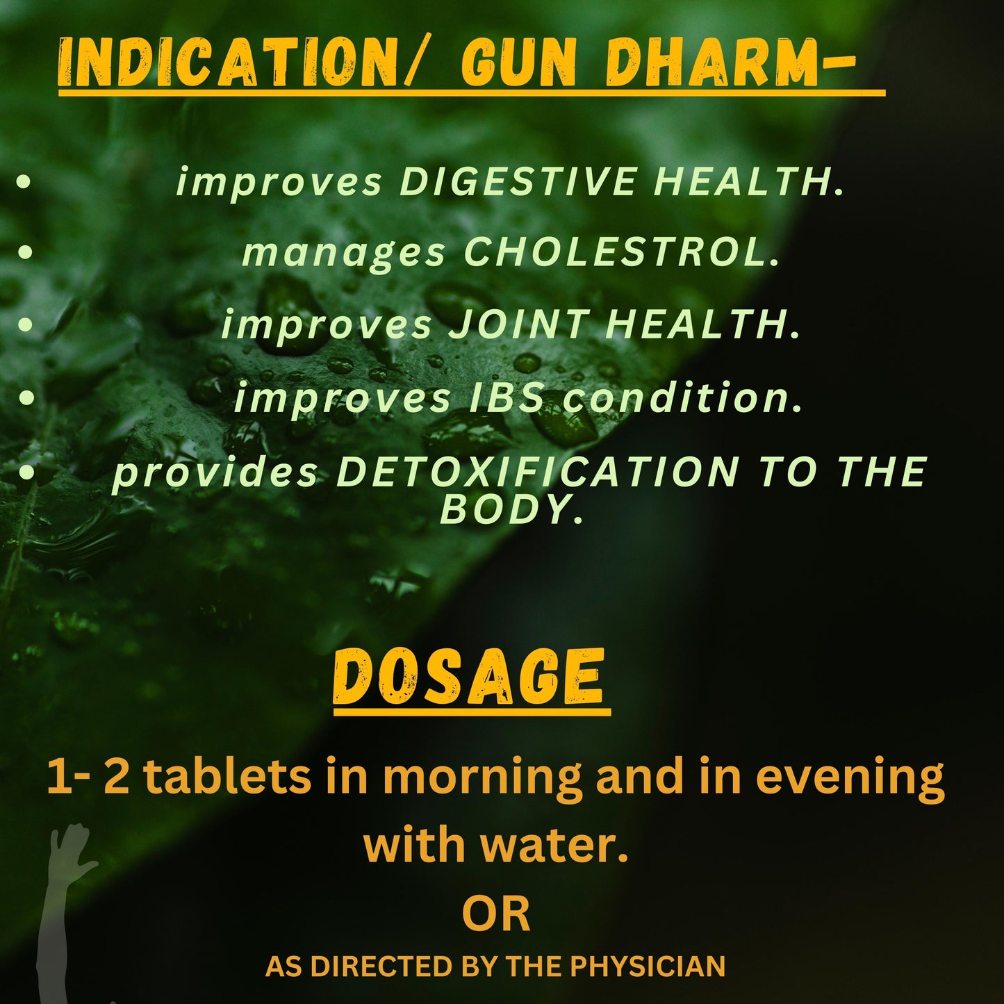 TRIPHALA GUGGULU (By- BAIDYANATH, 80- Tablets)-Cosmoहित Ayurved