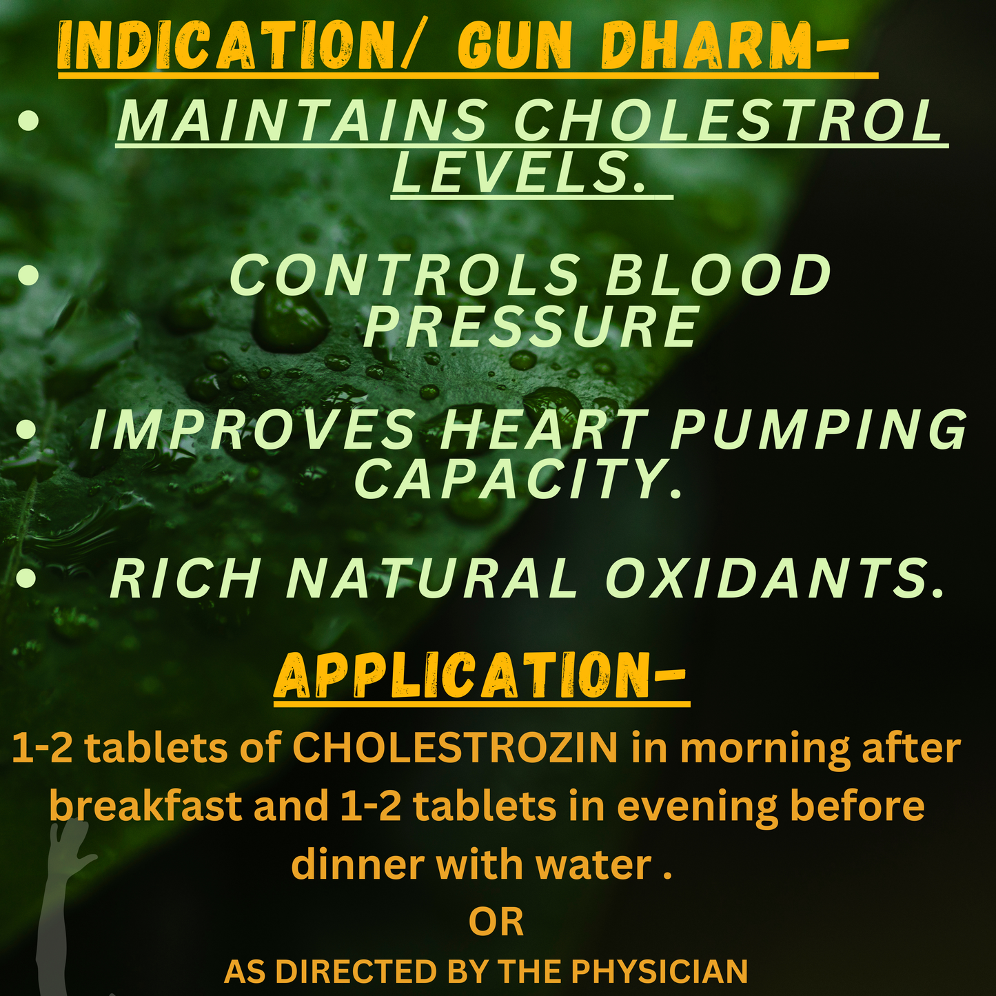 CHOLESTROZIN ( For Cholestrol) (By- SHARMAYU, 60- Tablets)-Cosmoहित Ayurved