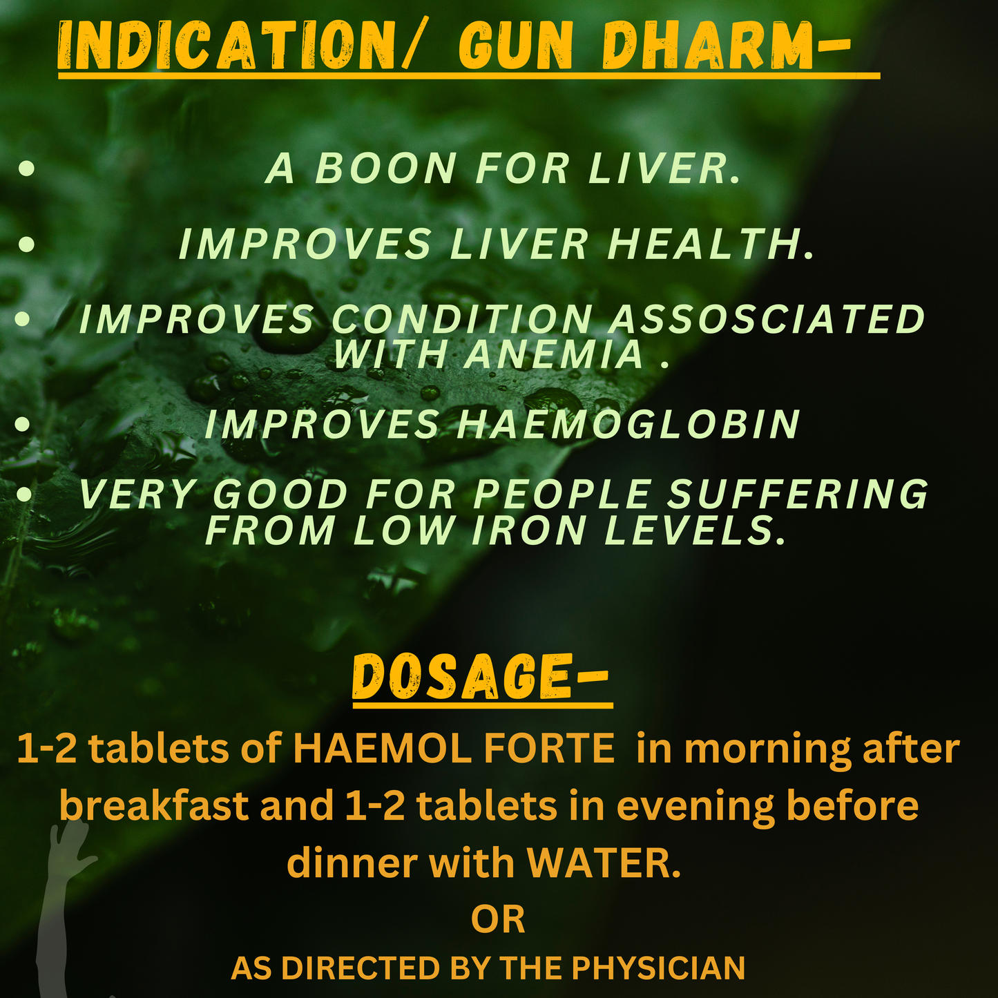HAEMOL FORTE (For conditions associated with LOW HEMOGLOBIN) (By- SANDU BROTHERS, 60- Tablets)-Cosmoहित Ayurved