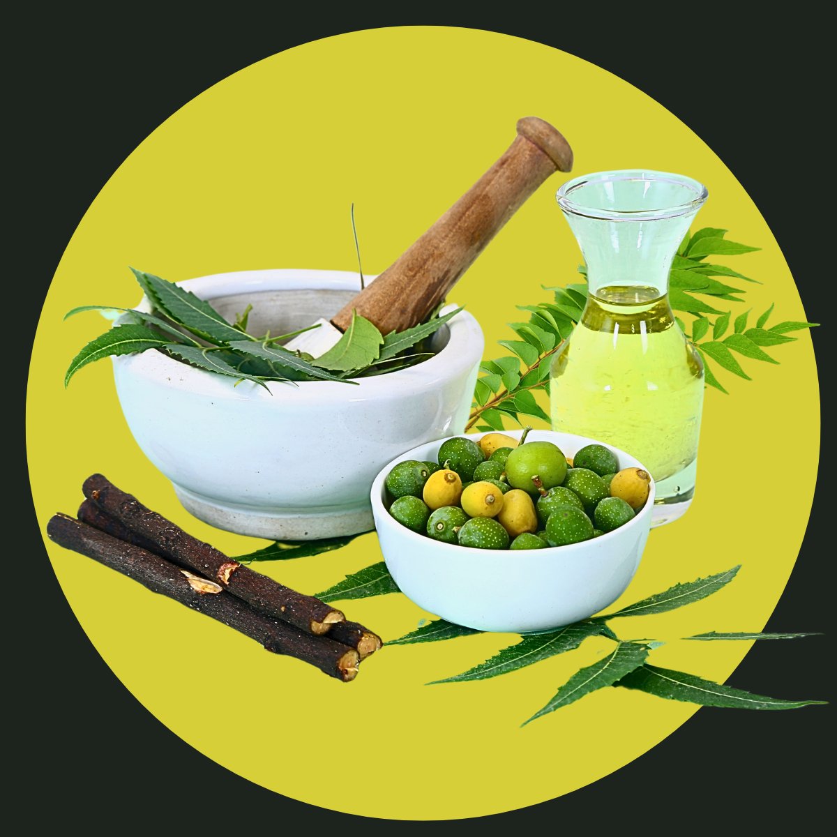 CLASSICAL AYURVEDIC MEDICINES