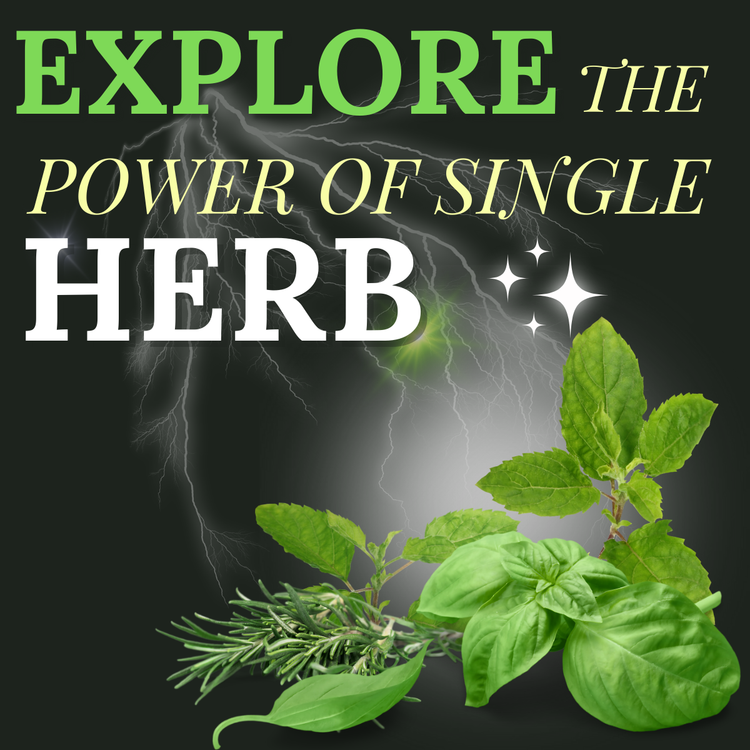 POWER OF HERBS