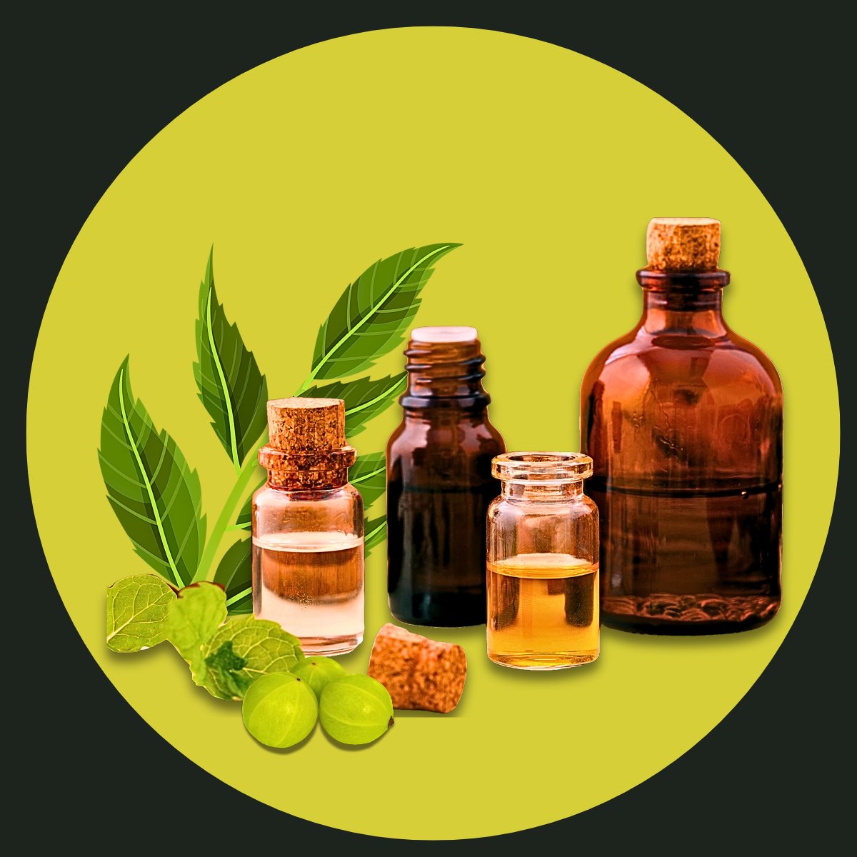 GENERAL AYURVEDIC PRODUCTS