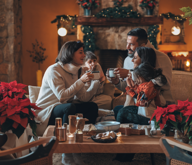 Shop Ayurvedic Winter Care Products Online – Herbal Skincare & Immunity Boosters for Cold Weather | Cosmohit Ayurved