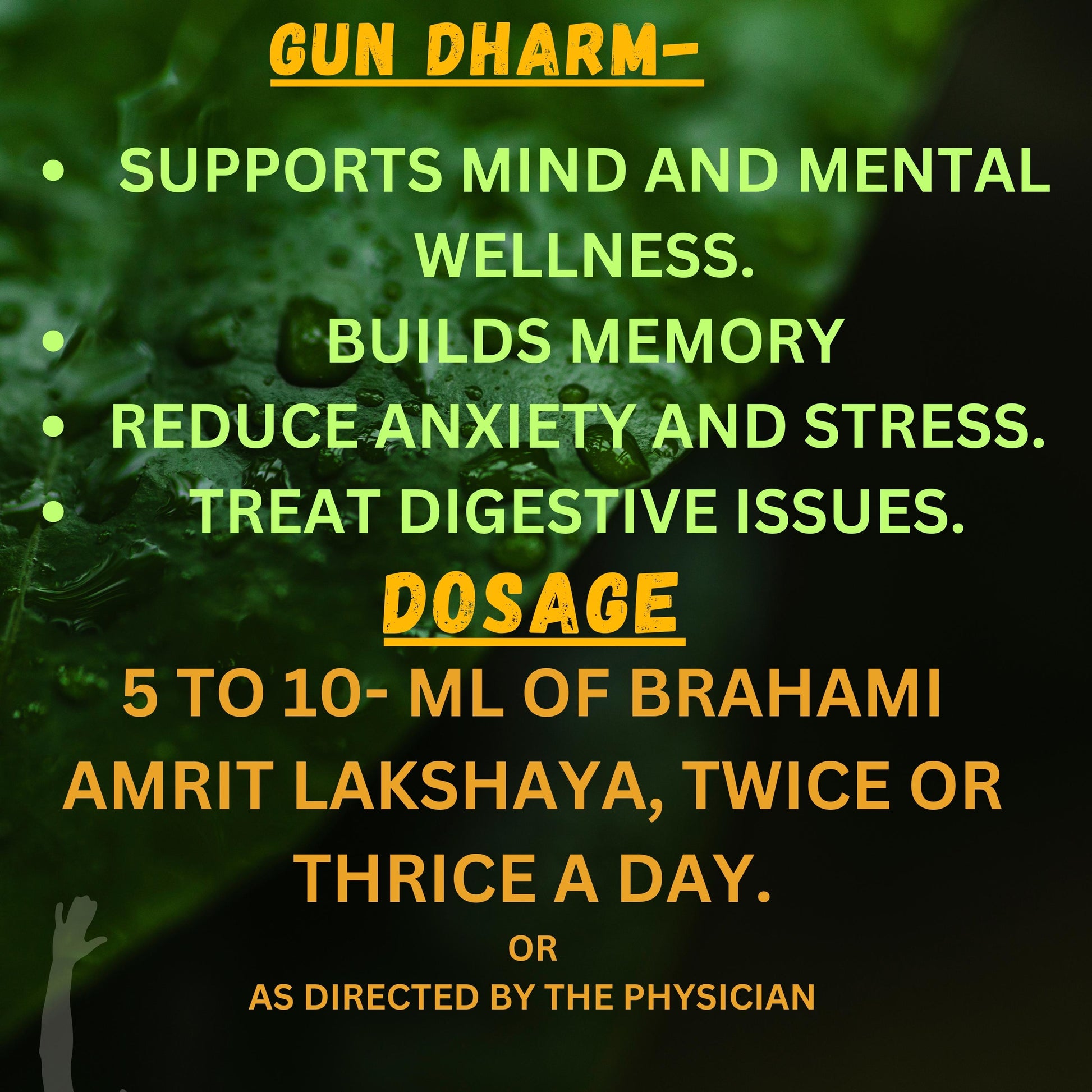"Improve memory, reduce stress, and enhance cognitive performance naturally with Brahmi Amrit Lakshya Syrup – Herbal Brain Wellness Formula (200ml)"