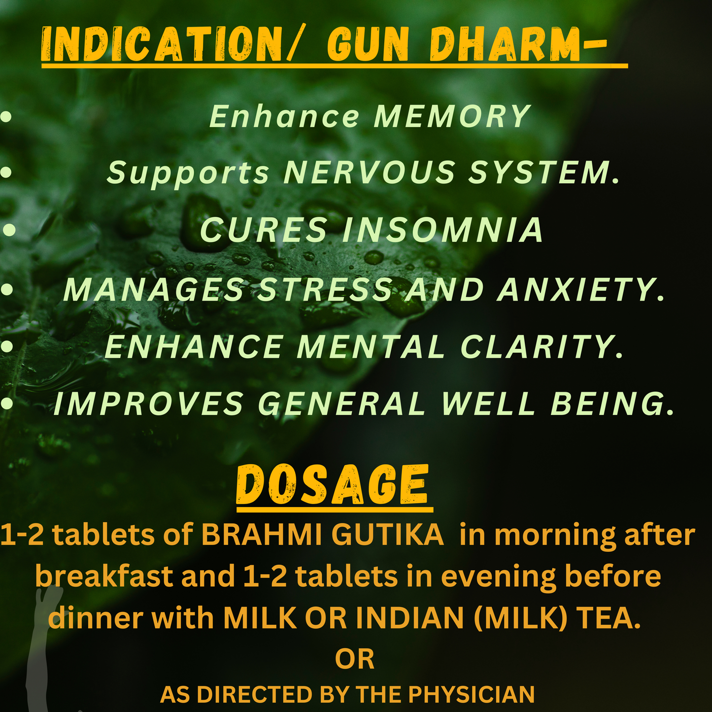 SKM Siddha & Ayurveda Brahmi Gutika – Natural Ayurvedic brain booster supporting cognitive function, mental clarity, memory retention, and concentration"
