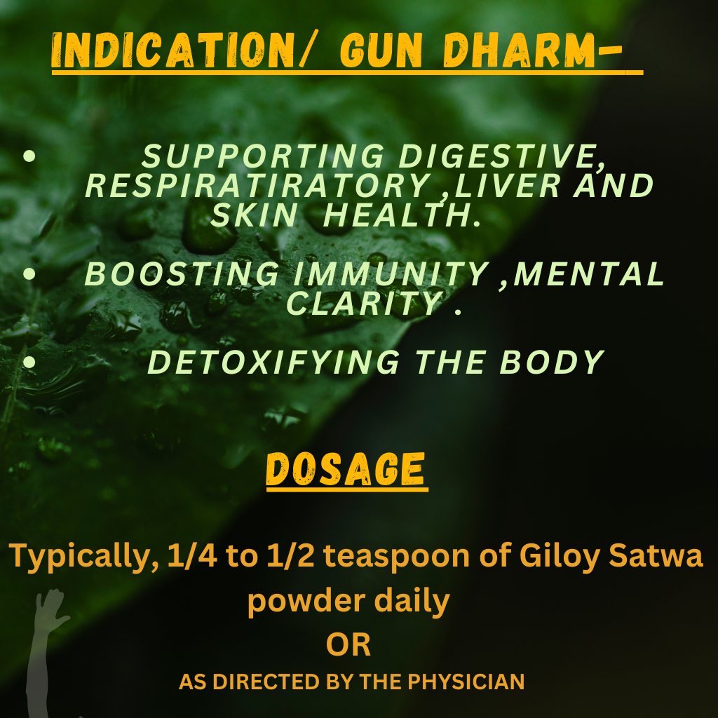 "Baidyanath Giloy Satwa – Ayurvedic support for immune health, fever management, body detox, and general wellness"