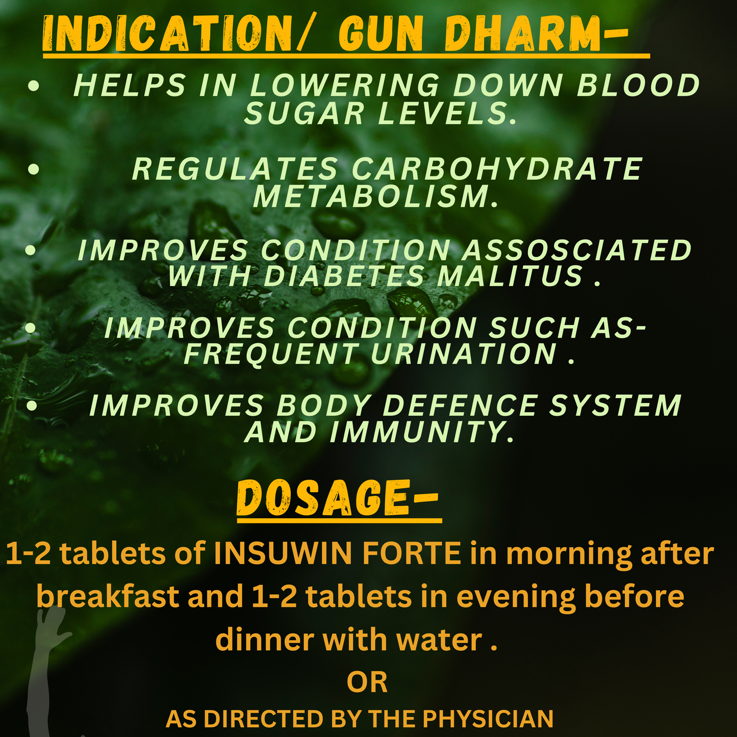 INSUWIN FORTE (regulates BLOOD SUGAR LEVEL) (By- SKM SIDDHA and AYURVEDHA, 100- TABLETS)