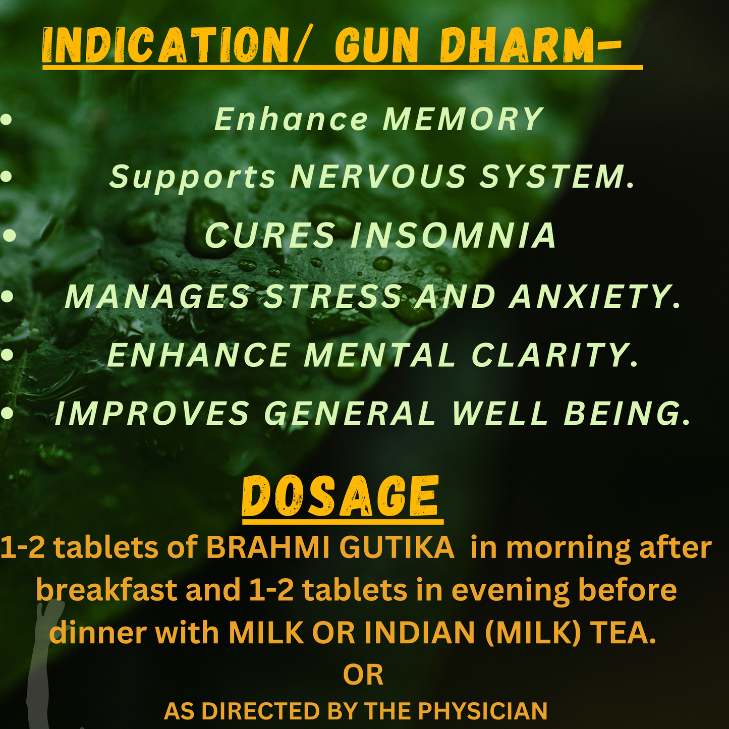 BRAHMI GUTIKA (A POWERFUL BRAIN SUPPLEMENT) (By- SKM SIDDHA AND AYURVEDA, 100- Rablets)