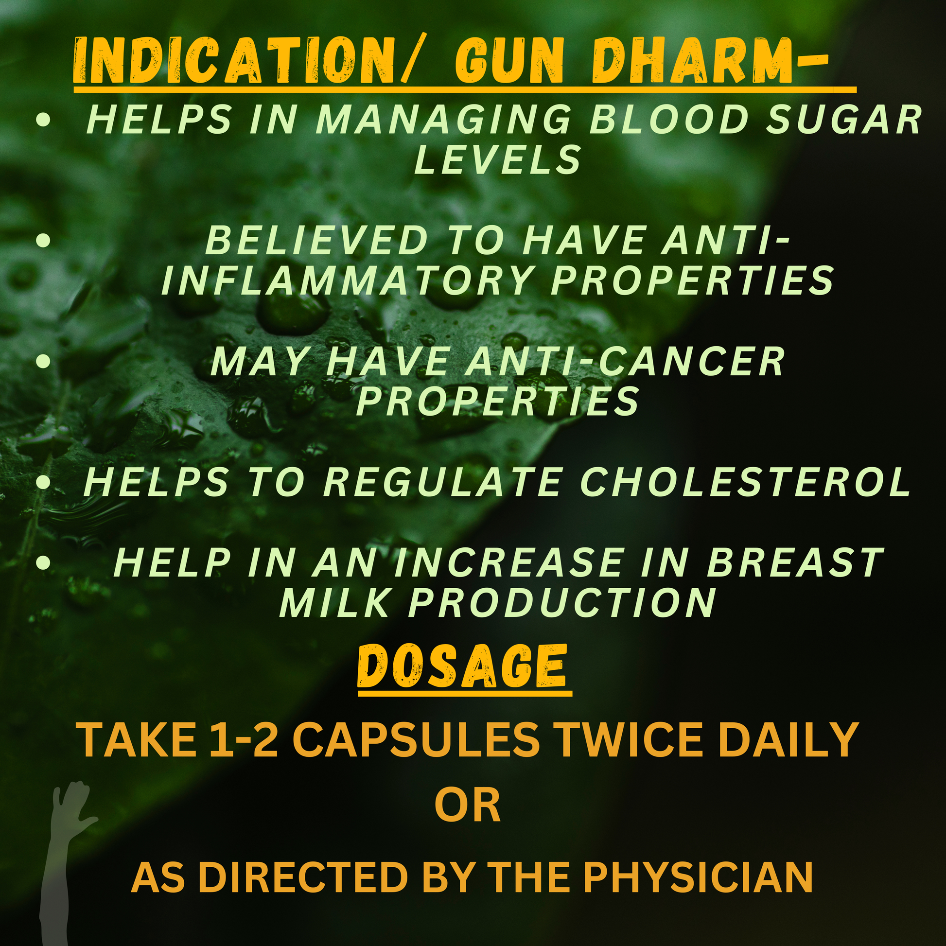 "Bio Resurge Methi Capsules – Supports healthy digestion, helps regulate blood sugar levels, and aids in natural weight management"