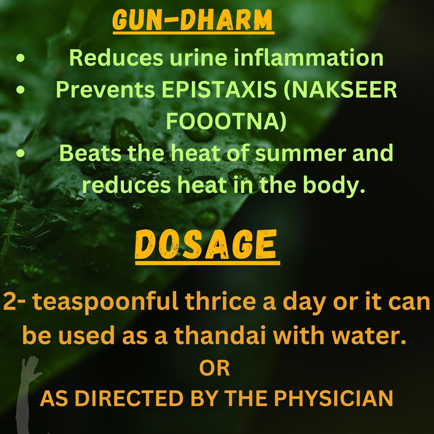 "Support Urinary Wellness Naturally with Sharmayu Chandanoshir Pey – Herbal Tonic for Easy Urine Flow, UTI Relief & Kidney Health | Available at Cosmohit Ayurved"