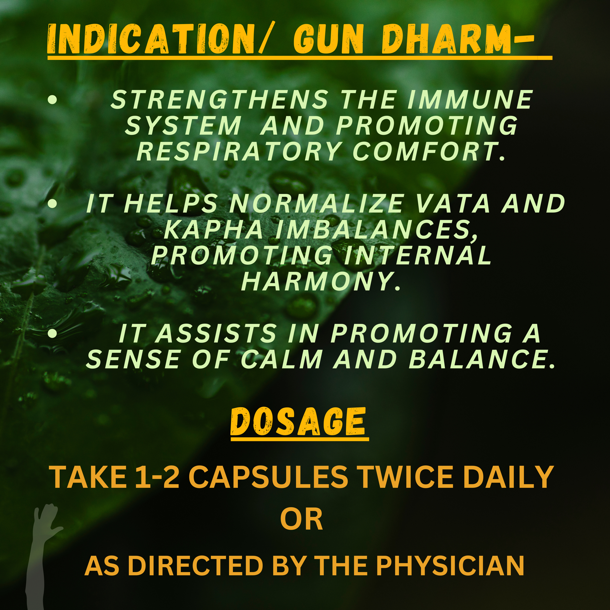"Bio Resurge Tulsi Tablets – Ayurvedic Remedy for Cough, Cold, and Respiratory Support – 60 Tablets with Dosage Instructions | Shop Herbal Immunity Boosters on Cosmohit Ayurved"