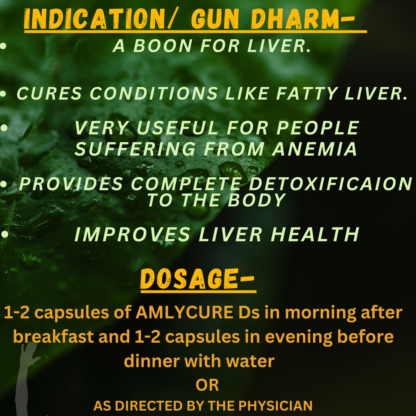 AMLYCURE D.S. (For improving conditions associated with FATTY LIVER) (By- AIMIL PHARMACEUTICALS, 20- CAPSSULES)