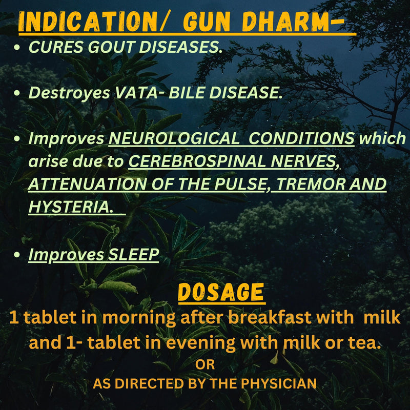 Brihat VatChintamani Ras by Paras Herbal Pharma- 10 tablets