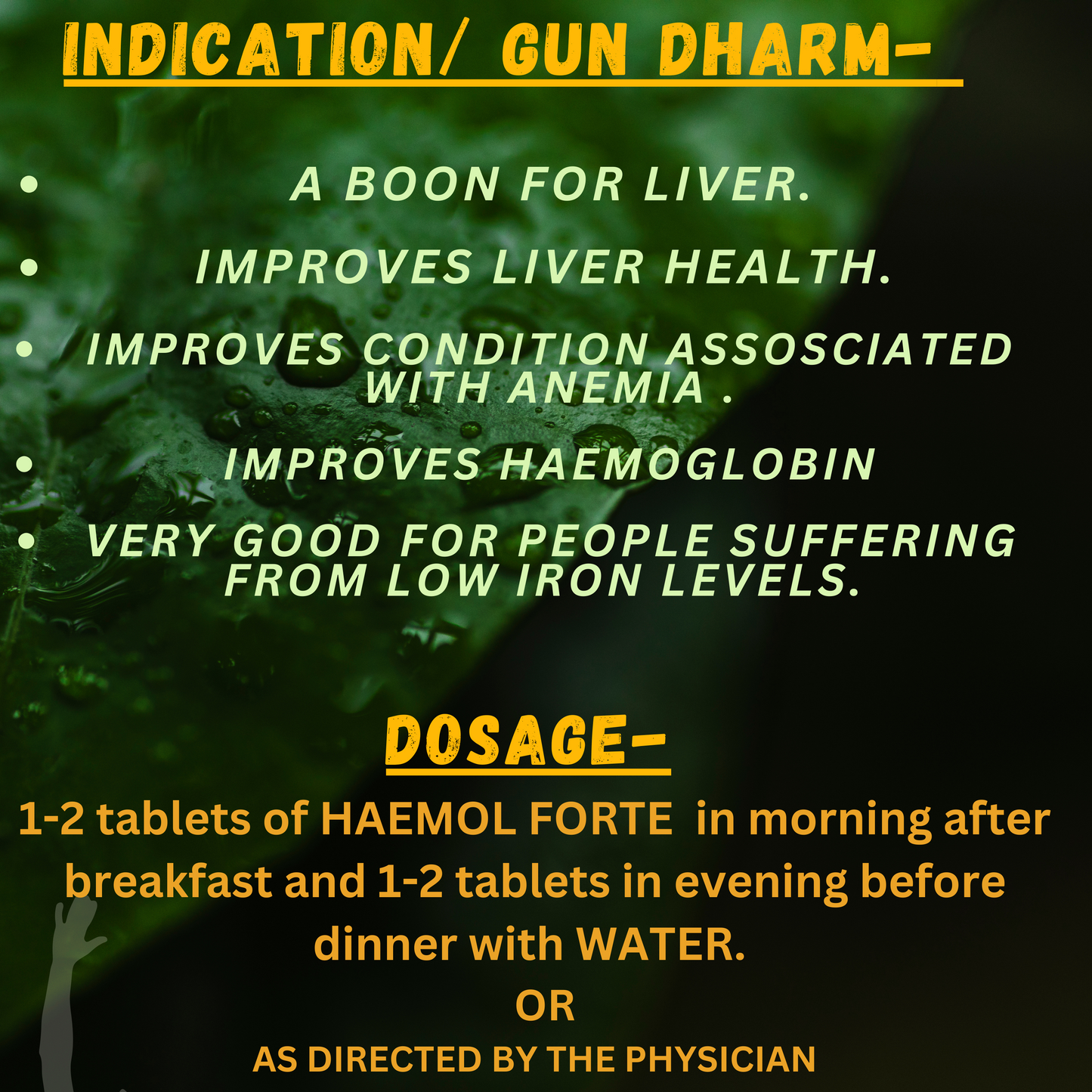 HAEMOL FORTE (For conditions associated with LOW HEMOGLOBIN) (By- SANDU BROTHERS, 60- Tablets)