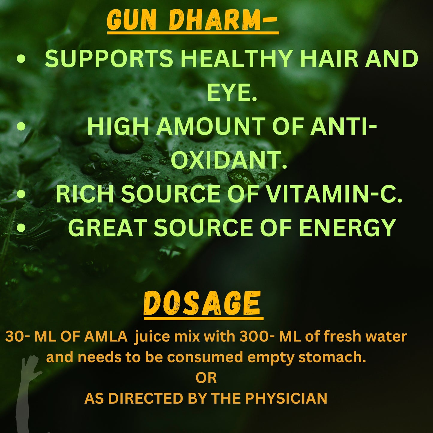 AMLA JUICE (For Skin and Hair  health)  (By- VITROMED HEALTHCARE, 1- LITRE)